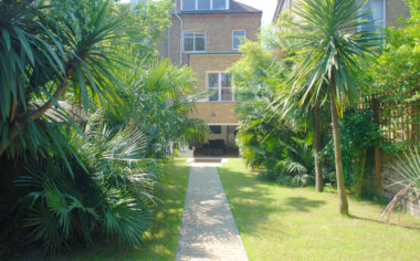 Basement flat and garden